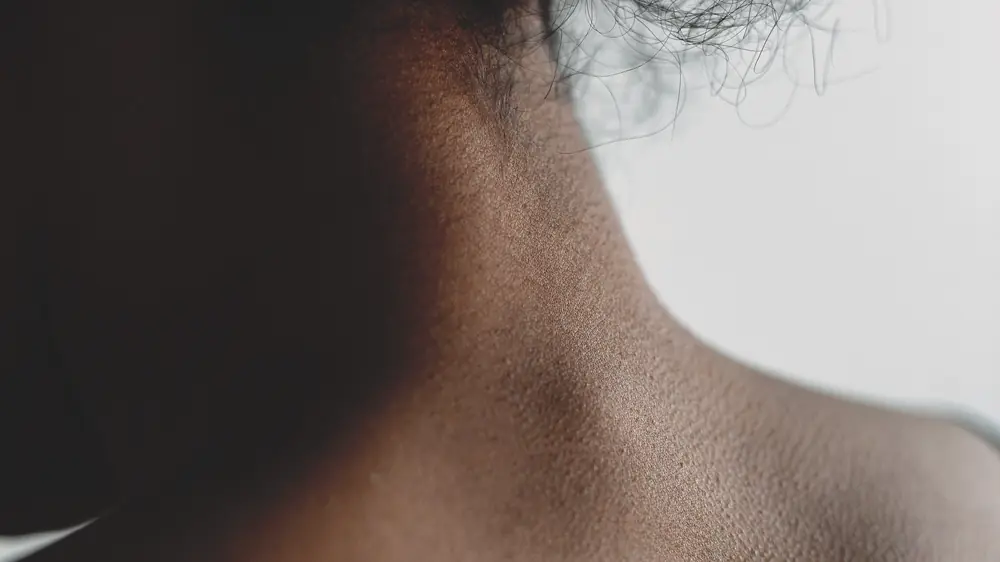 The back of a woman’s neck and shoulders, her hair pinned up, in soft daylight